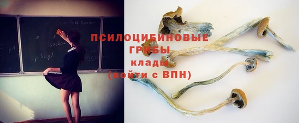 соль курить ск Арсеньев