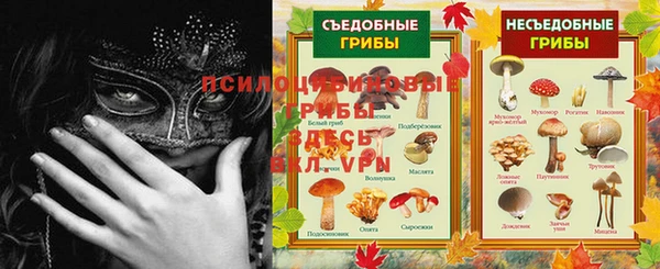 соль курить ск Арсеньев