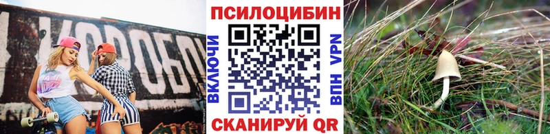 Псилоцибиновые грибы Psilocybine cubensis  магазин продажи наркотиков  Гвардейск 